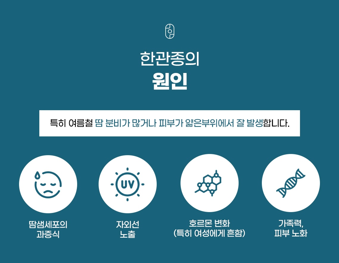 땀샘세포 과증식·자외선·호르몬 변화·가족력과 피부 노화로 나눈 한관종 원인