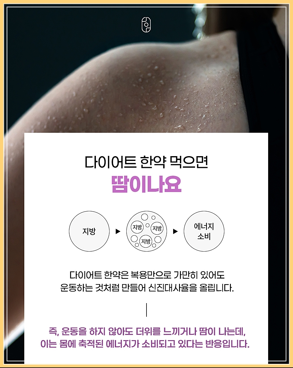 춘천다이어트한의원 한약 효능 정리
