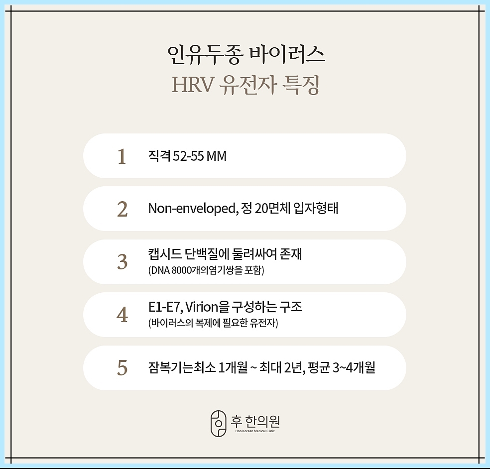인유두종 바이러스의 특징 정리