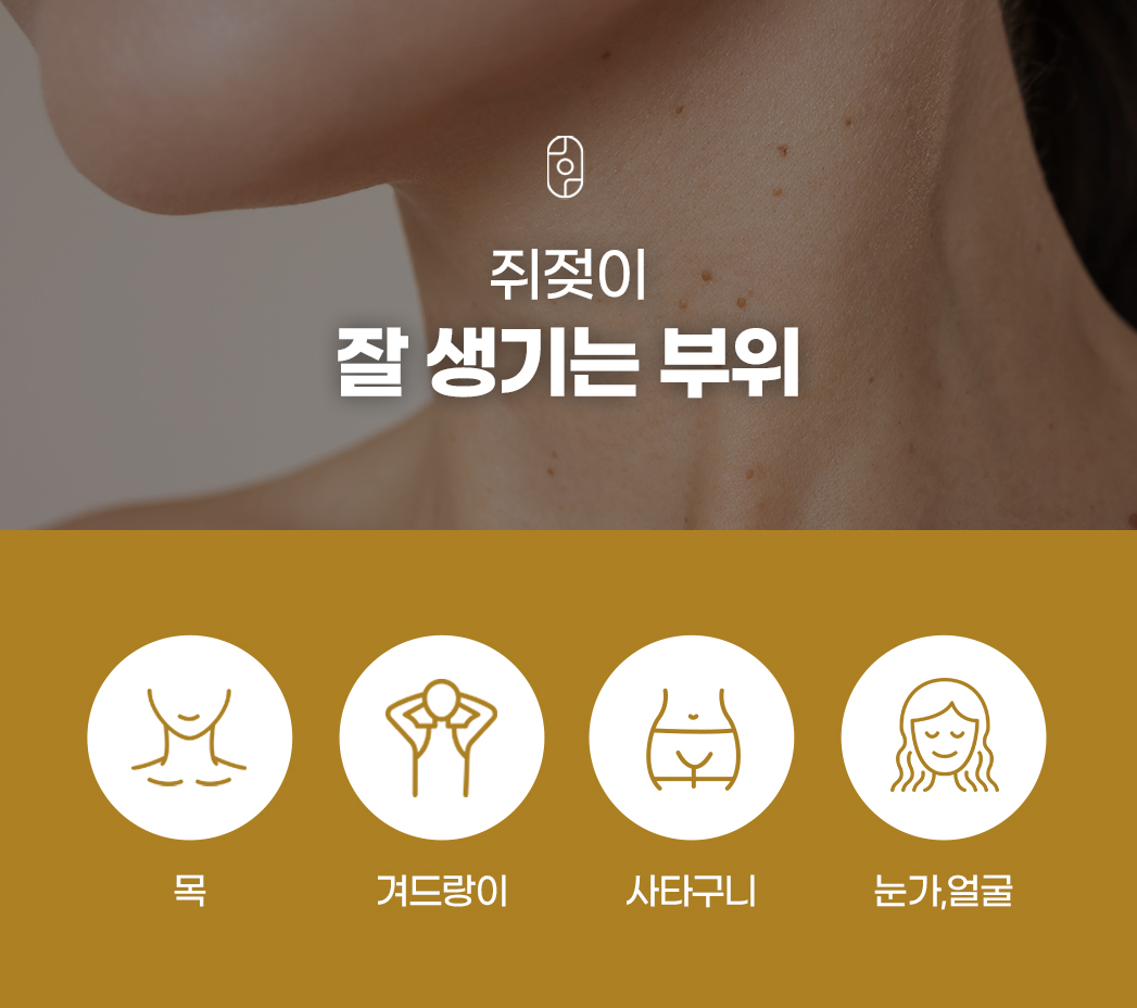 랜딩이미지