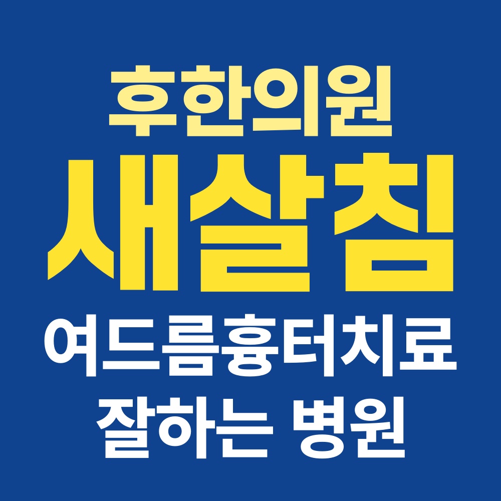 춘천새살침
